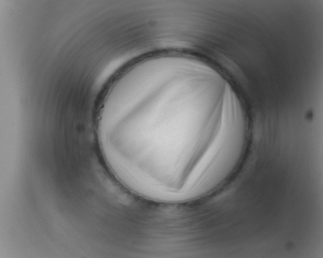 X0000113941022200910161910