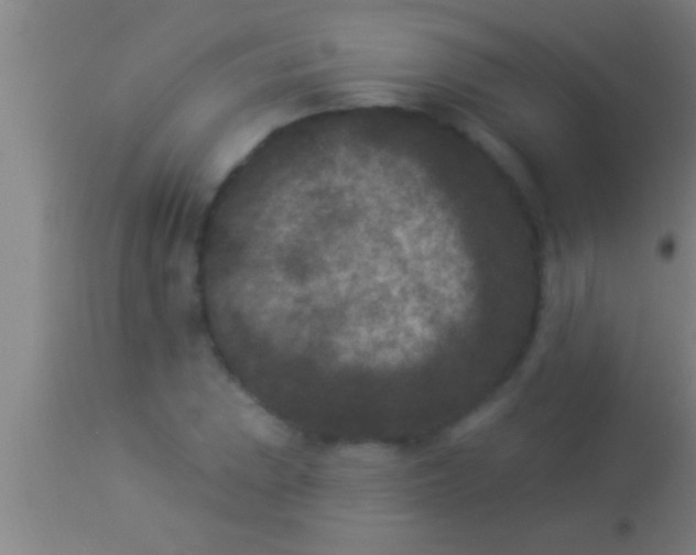 X0000113941023200910161910