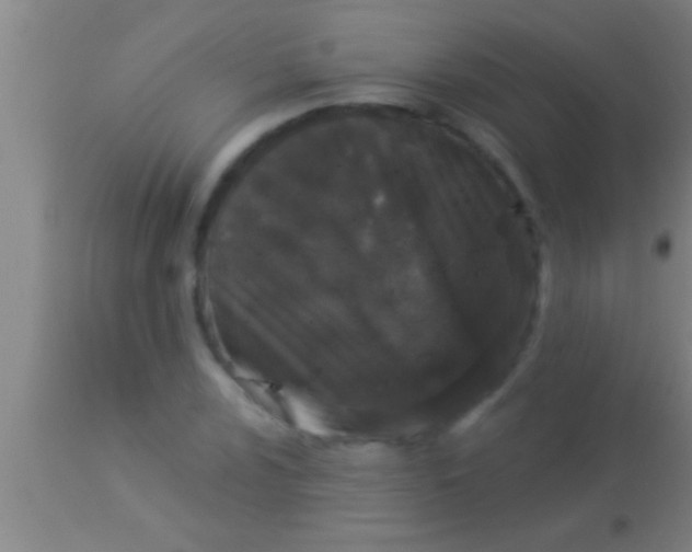 X0000113941024200910161910