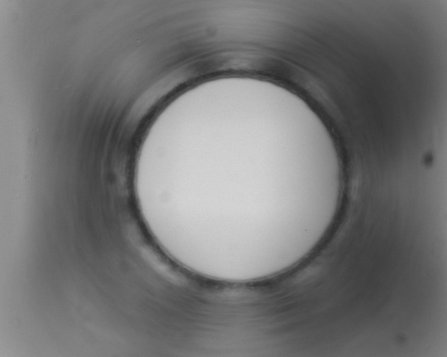 X0000113941026200910161910