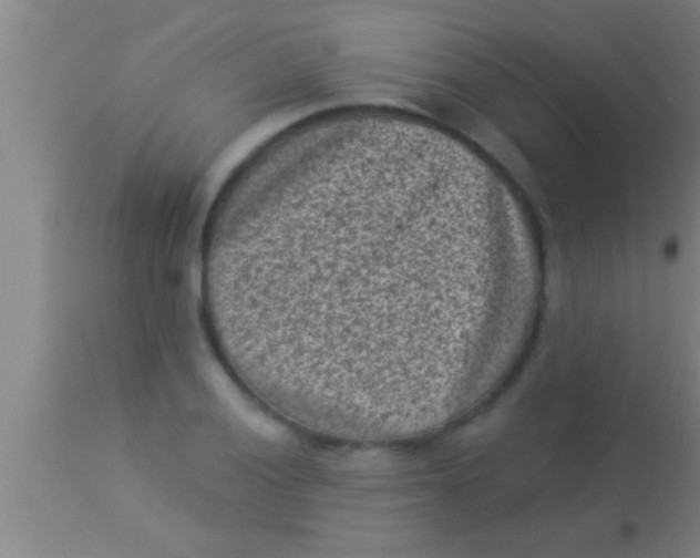 X0000113941028200910161910