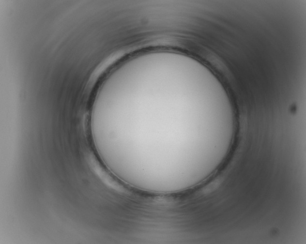 X0000113941029200910161910