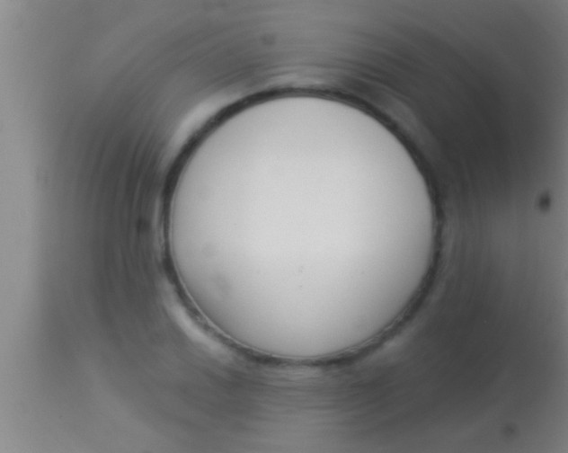 X0000113941030200910161910