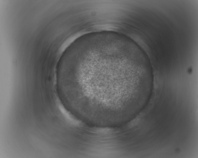 X0000113941031200910161910