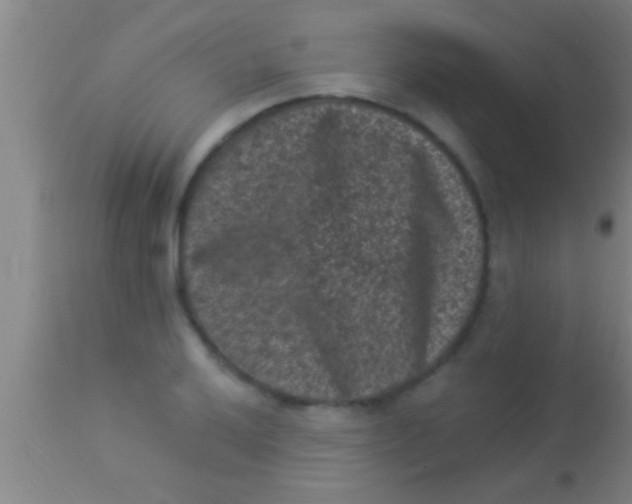 X0000113941032200910161910
