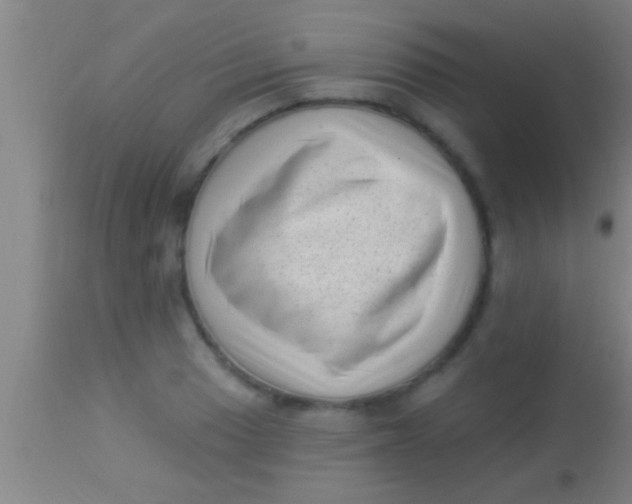 X0000113941033200910161910