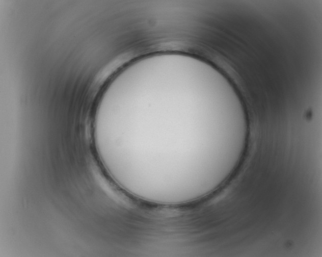 X0000113941034200910161910