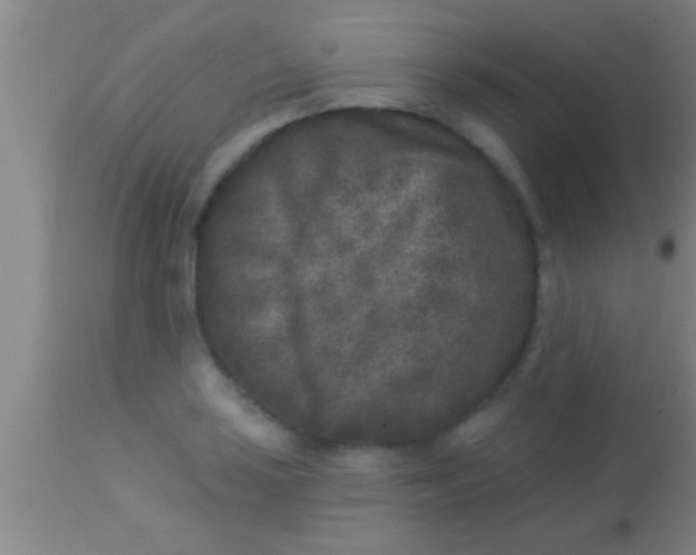 X0000113941035200910161910