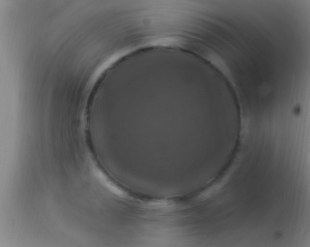X0000113941037200910161910