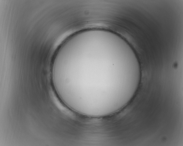 X0000113941038200910161910
