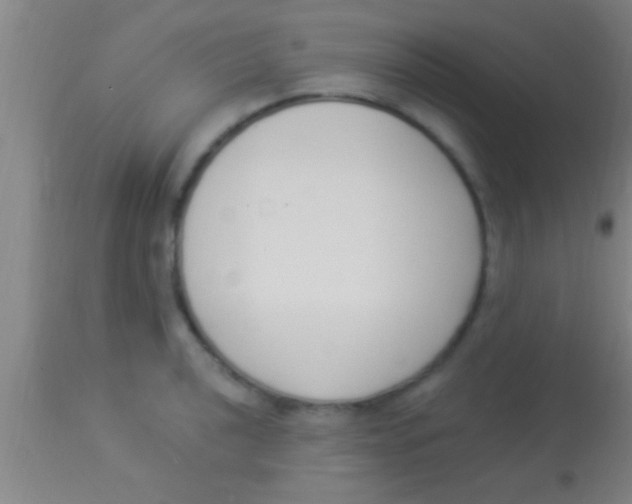 X0000113941040200910161910