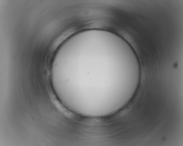X0000113941042200910161910