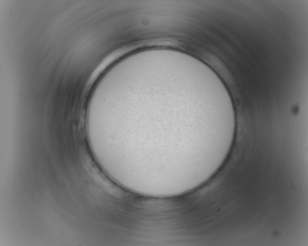 X0000113941044200910161910