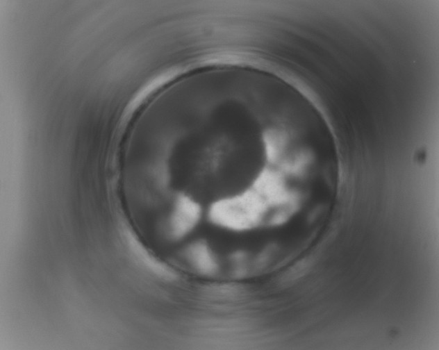 X0000113941045200910161910