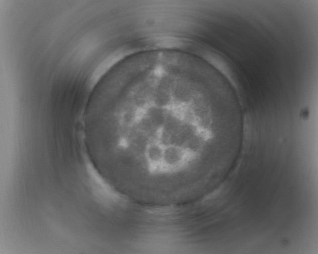 X0000113941047200910161910