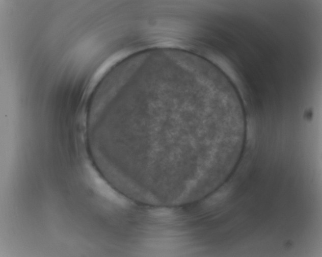 X0000113941048200910161910