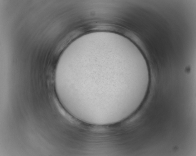 X0000113941049200910161910