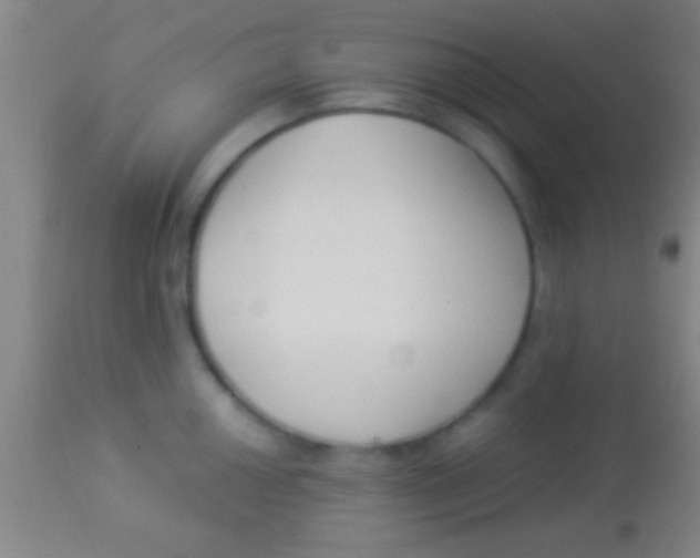 X0000113941050200910161910