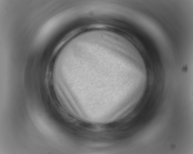 X0000113941052200910161910