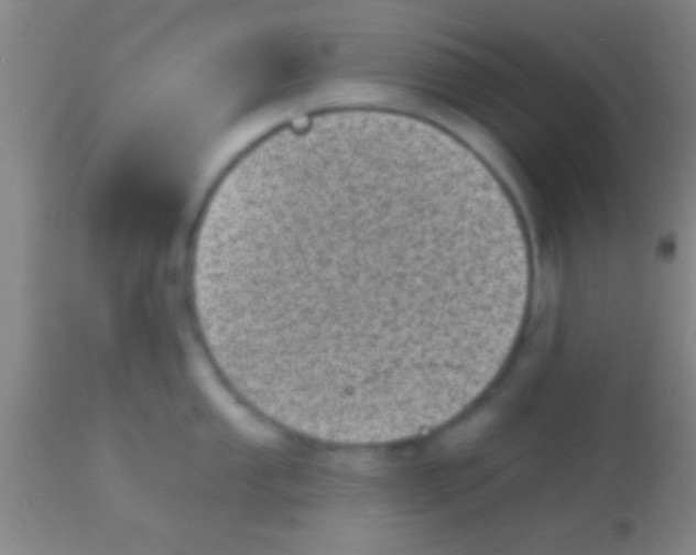 X0000113941053200910161910