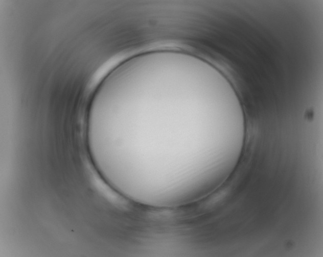 X0000113941054200910161910