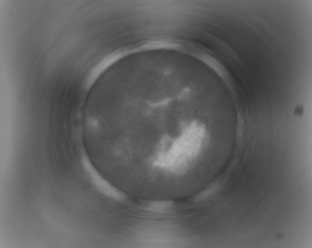 X0000113941055200910161910
