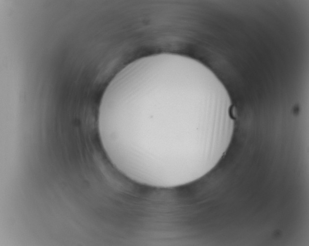 X0000113941058200910161910