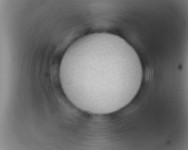 X0000113941059200910161910