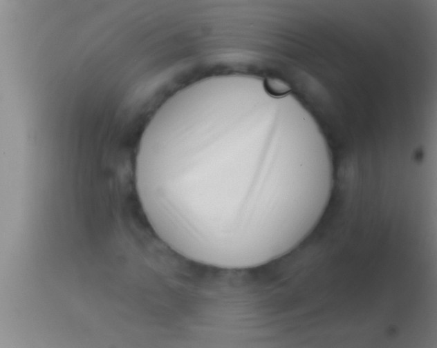 X0000113941062200910161910
