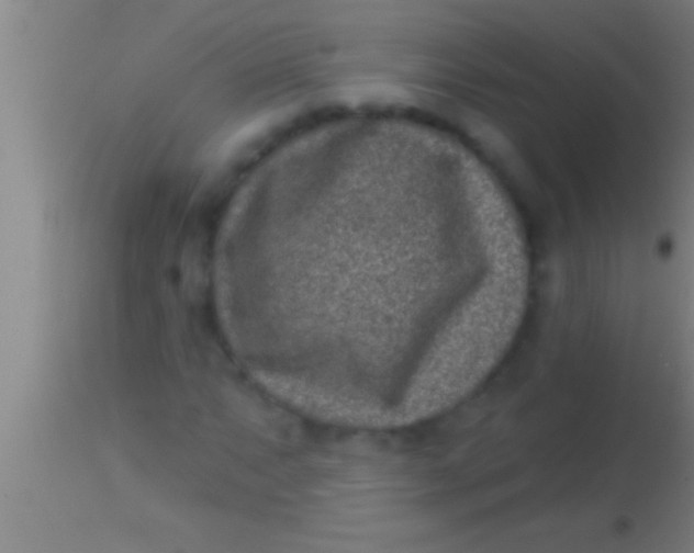 X0000113941063200910161910