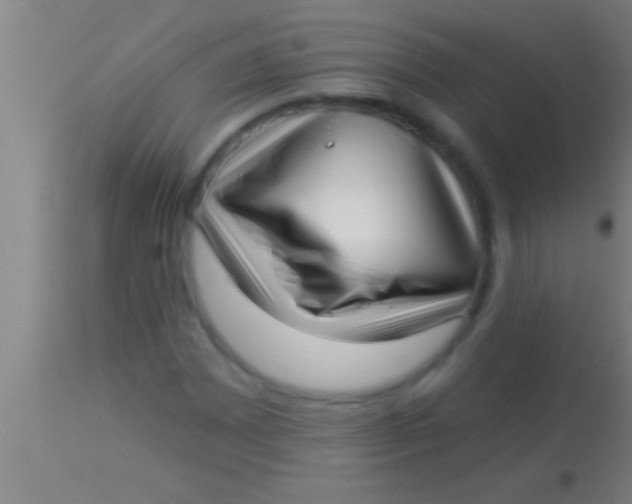 X0000113941065200910161910