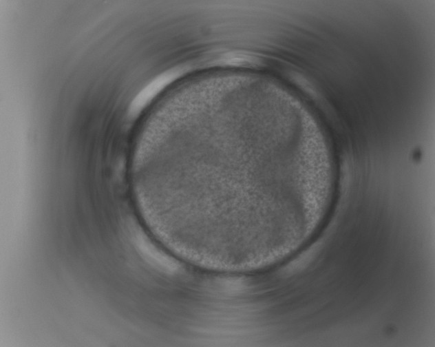 X0000113941066200910161909