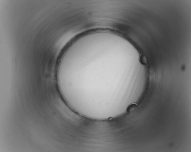 X0000113941068200910161909