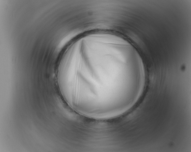 X0000113941070200910161909