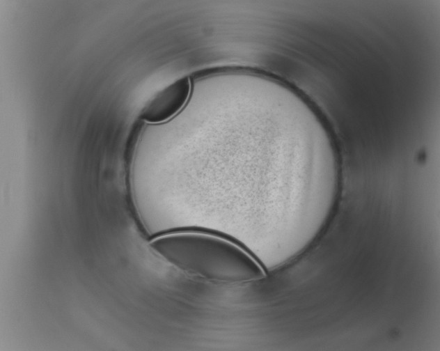 X0000113941072200910161909