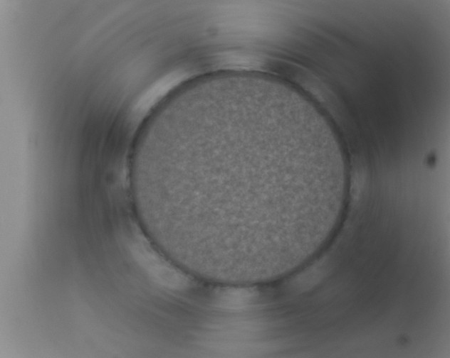 X0000113941074200910161909