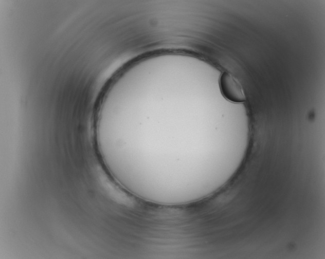 X0000113941076200910161909