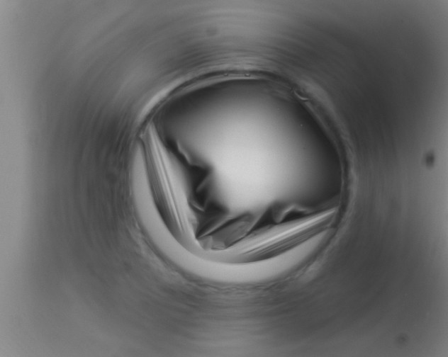 X0000113941081200910161909