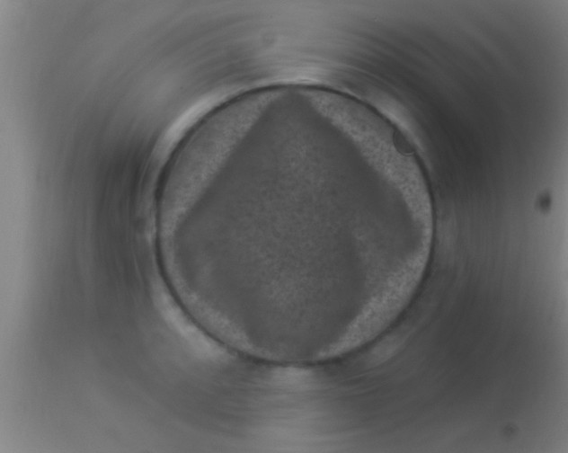 X0000113941088200910161909