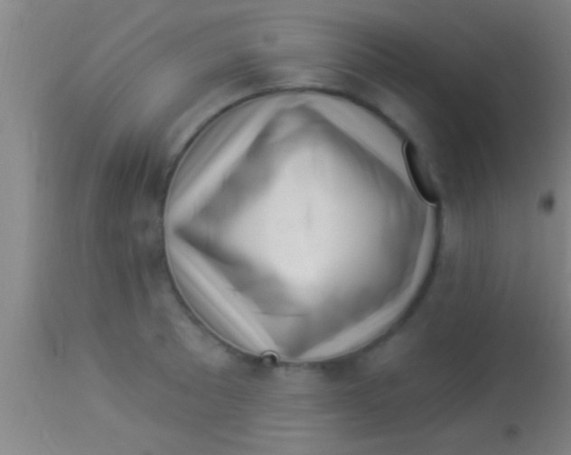 X0000113941089200910161909