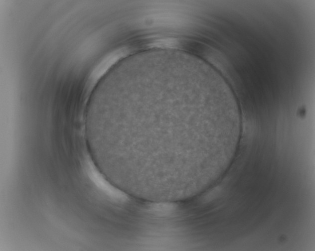X0000113941090200910161909