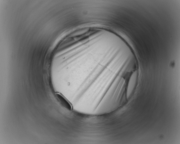 X0000113941093200910161909