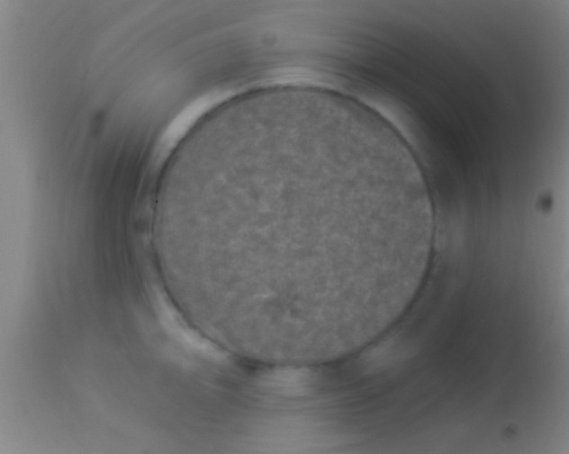 X0000113941094200910161909
