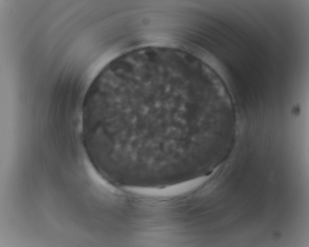 X0000113941095200910161909