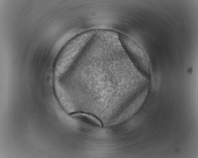 X0000113941096200910161909