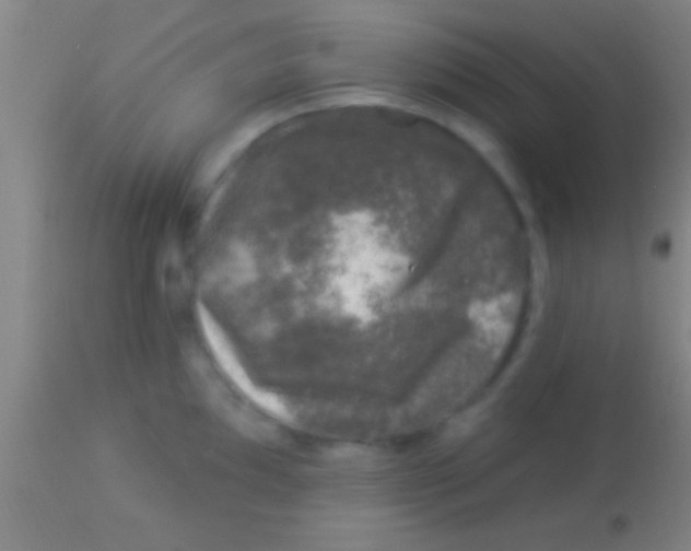 X0000113941097200910161909