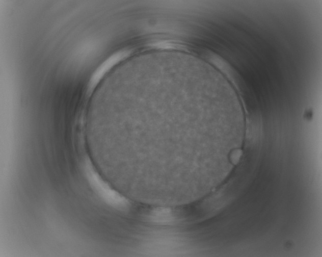 X0000113941098200910161909
