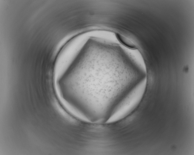 X0000113941100200910161909