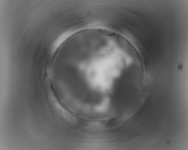 X0000113941101200910161909