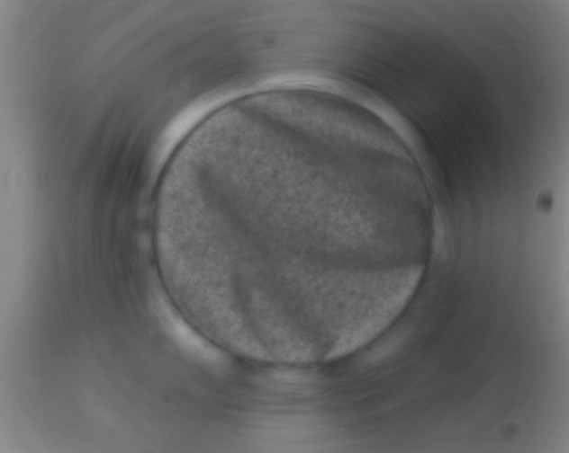 X0000113941102200910161909